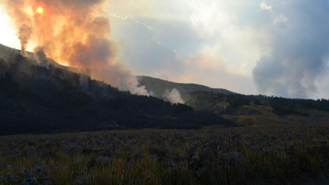 Kebakaran hutan di kaki bukit Teletubies Bromo
