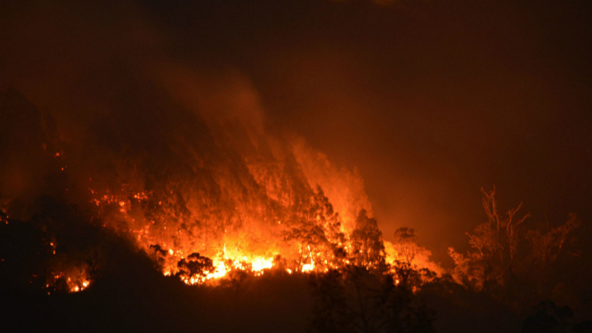 Kebakaran Gunung Lawu tahun 2015 silam.