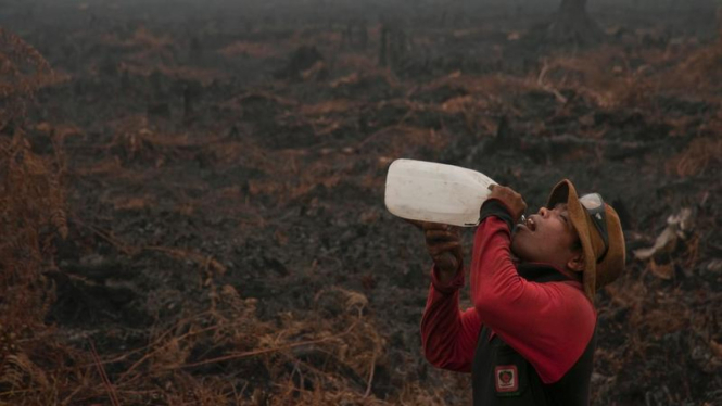 Kebakaran hutan dan lahan di Indonesia