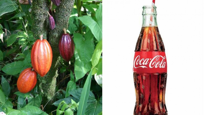 Sejarah desain botol Coca-cola.
