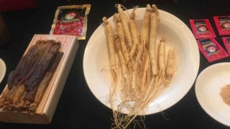 Menguak Manfaat Ajaib Ginseng Merah