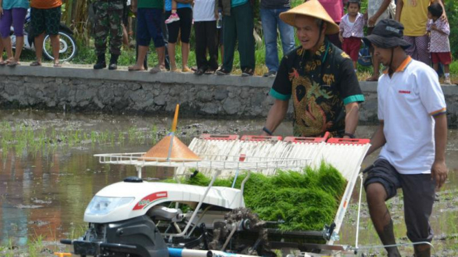 Ilustrasi membajak sawah dengan mesin.