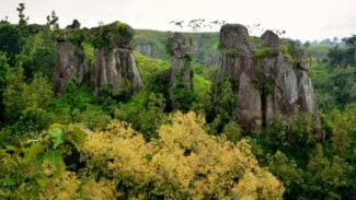 Batu Solor Bondowoso, Stonehenge van Java