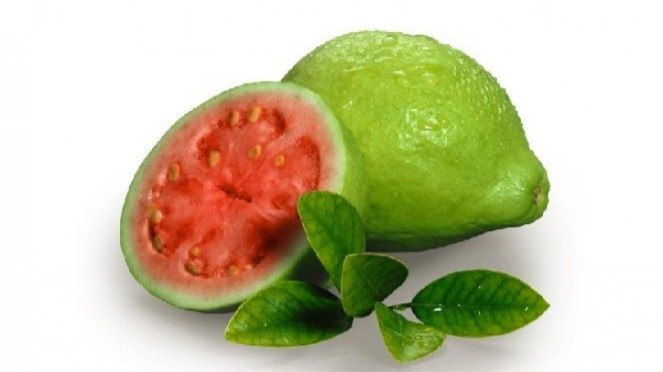 jambu biji