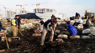 Penemuan Banyak Fosil oleh Petani Israel