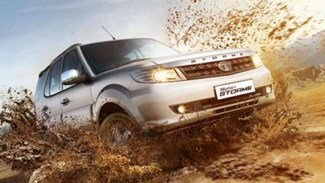 Safari Storme