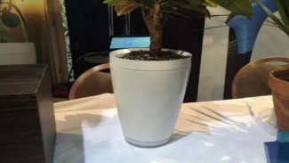 Pot Canggih Ini Buat Tanaman Apapun Tumbuh Subur