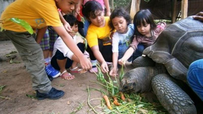 Kegiatan Wisata di Godong Ijo