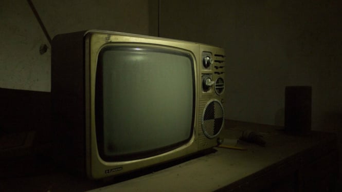 Televisi hilang gambar kadang mati.
