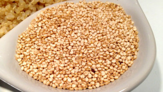 Mana yang Lebih Ampuh Buat Diet, Nasi Merah atau Quinoa?