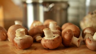 Tips Penting Bedakan Magic Mushroom dan Jamur Layak Konsumsi