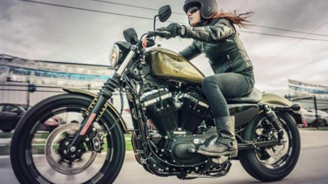 Pengendara Harley-Davidson. Foto ilustrasi.