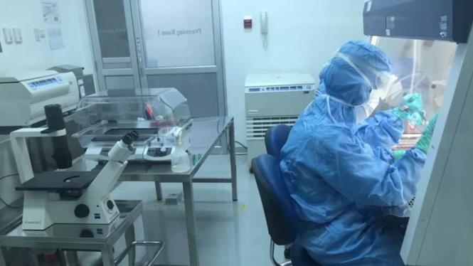 Seorang periset tengah meneliti sel punca di suatu laboratorium di Jakarta. 
