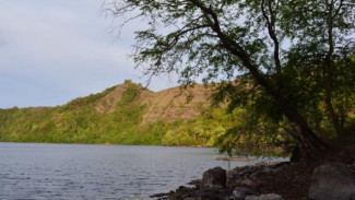 Danau Satonda, Danau Ajaib di Utara Sumbawa