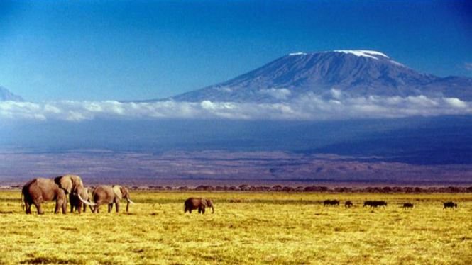 Sepuluh Gunung Tertinggi di Benua Afrika