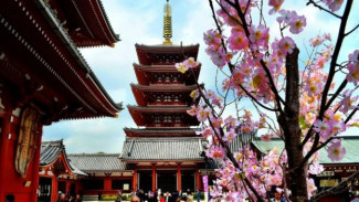 Ini Lokasi Wisata Gratis di Jepang yang Pas Buat Anda