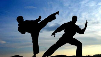 Jago Kungfu Lumpuhkan Kawanan Perampok