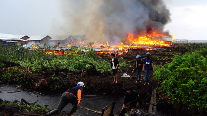 Pembakaran atas pemukiman warga eks pengikut Gafatar di Desa Moton Kabupaten Mempawah Kalimantan Barat, Selasa (19/1/2016).