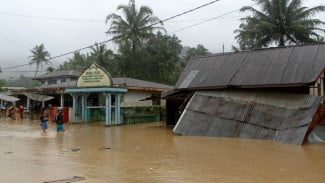 Belum Bisa Pulang! 542 Warga Solok Masih Mengungsi, Puluhan Rumah Rusak Diterjang Banjir Bandang