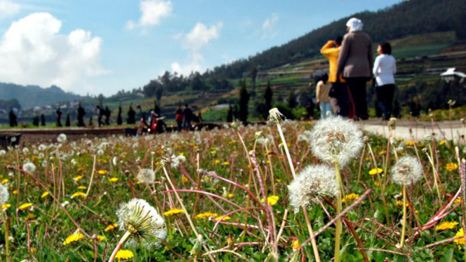 Wisata di Dataran Tinggi Dieng.