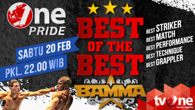 Best of The Best BAMMA