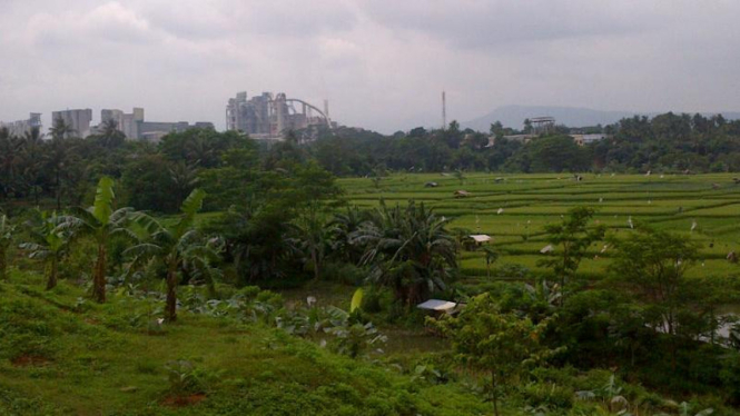 Penghijauan lahan eks tambang semen PT Indocement di areal pabrik Citeureup, Bogor, Jawa Barat.