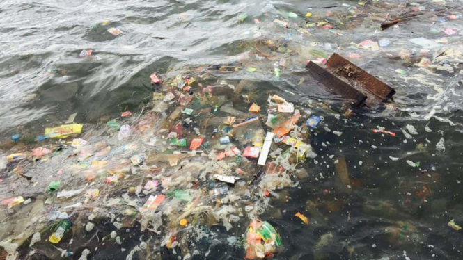 Diperkirakan, pada saat ini lautan dunia sudah berisi 150 juta ton plastik.