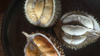 Mengenal Musang King, Durian Lezat dari Negeri Jiran