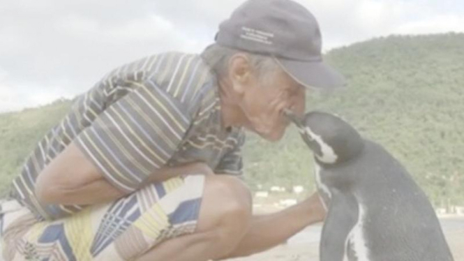 Joao Pereira de Souza dan penguin yang diselamatkannya, Dindim.