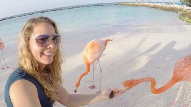 Christy Woodrow dan beberapa burung flamingo di Pantai Karibia.