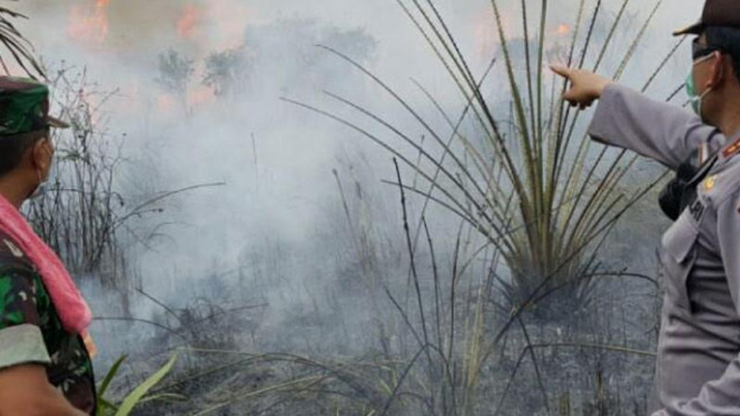 Kebakaran hutan di Riau