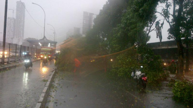  Pohon tumbang di kawasan Pancoran, Jakarta Selatan.