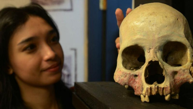 Tengkorak manusia yang diperkirakan berusia 3.000 tahun koleksi Museum Etnografi Kematian di kampus Universitas Airlangga Surabaya, Jawa Timur.