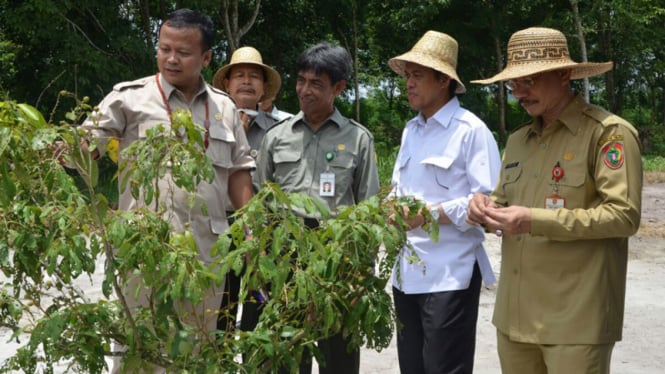 Komisi IV DPR RI berkunjung ke Kalimantan Tengah (Kalteng) 