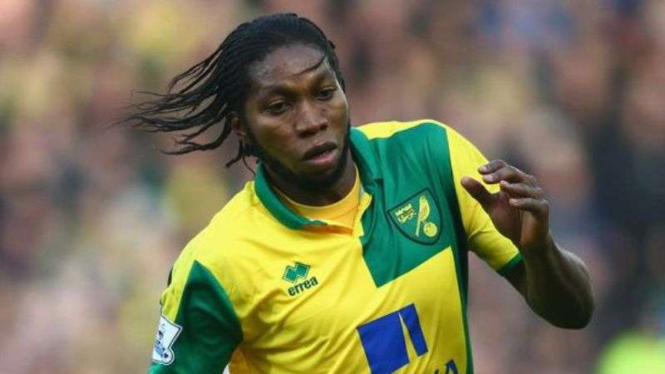 Striker Norwich City, Dieumerci Mbokani