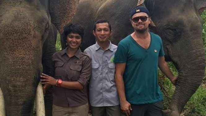 Aktor dunia Leonardo DiCaprio berfoto bersama gajah Sumatera di kawasan Taman Nasional Gunung Leuser Aceh, Minggu (27/3/2016).