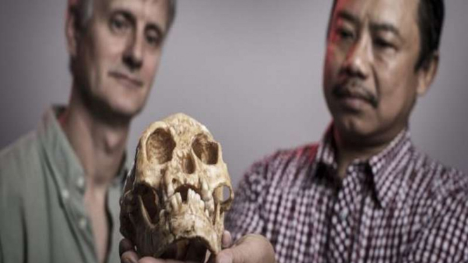 Arkeolog Indonesia Thomas Sutikna dan Professor Richard Roberts