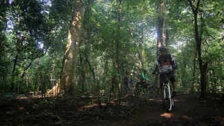 Akademisi Ajukan Konsep Agroforestri soal Program Kemenhut Manfaatkan Lahan Hutan