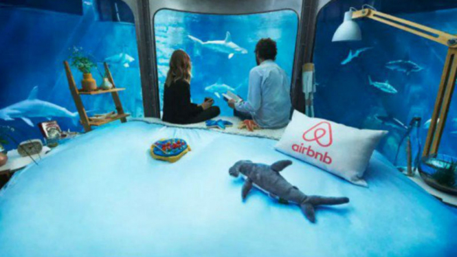 Menginap di dalam aquarium yang dipenuhi hiu