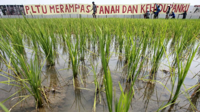 Petani, nelayan, bersama aktivis menggelar aksi menolak berdirinya PLTU Batang, Jawa Tengah. Mereka meminta pemerintah Jepang menghentikan rencana proyek tersebut karena dinilai merusak lingkungan dan mematikan penghidupan warga. Selasa, 5 April 2016.