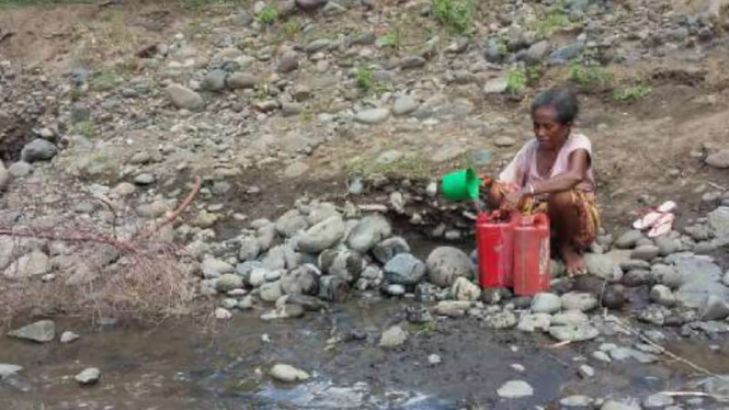  Warga desa di Nusa Tenggara Timur mengalami krisis air bersih selama delapan tahun terakhir. Untuk bertahan hidup, warga mengumpulkan air dari kubangan, Jumat (15/4/2016)