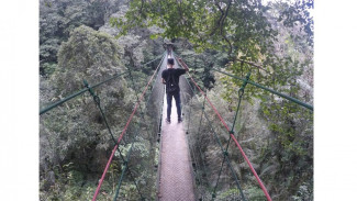 Berwisata ke Canopy Trail Cibodas, Bak Berada di Udara