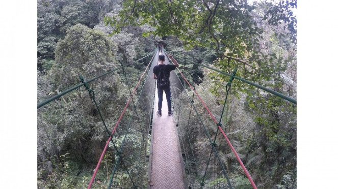 Canopy Trail Cibodas