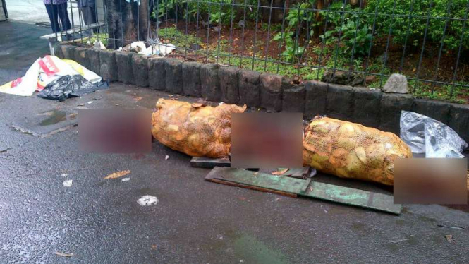 Lokasi penemuan mayat di depan SMA 37, Tebet, Jakarta Selatan