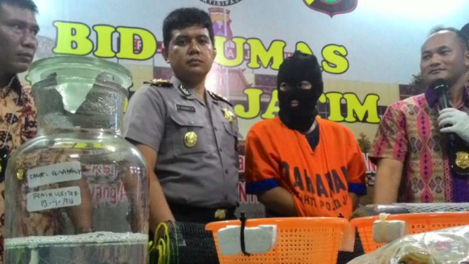 Santoso (39), saat digelandang Polda Jawa Timur, Jumat (22/4/2016). Santoso disangkakan atas kasus penyelundupan bibit lobster.