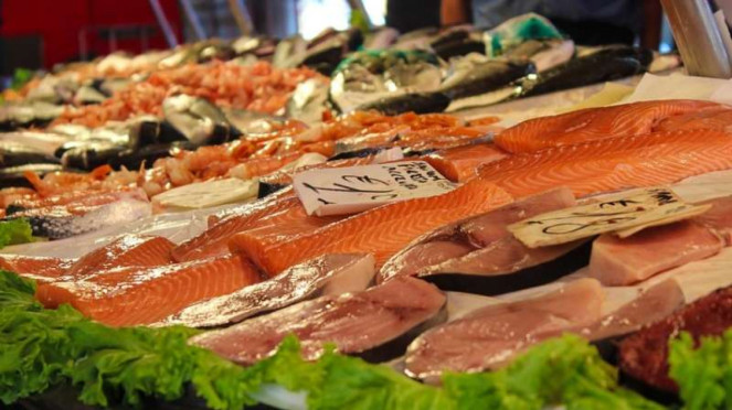 Ilustrasi ikan tuna