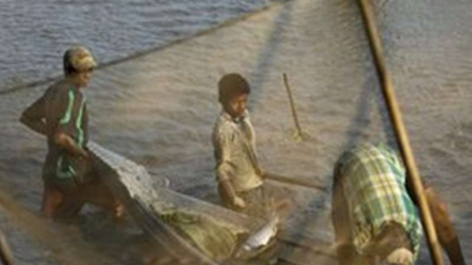 Buruh anak di Myanmar. Sebagian dipekerjakan sebagai nelayan.