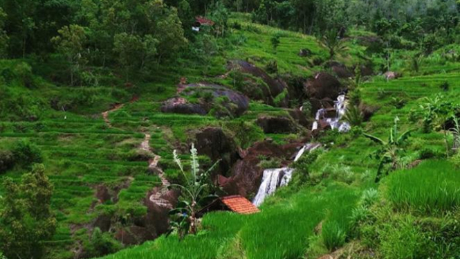 Kedung Kandang Air Terjun Unik Di Gunungkidul Viva