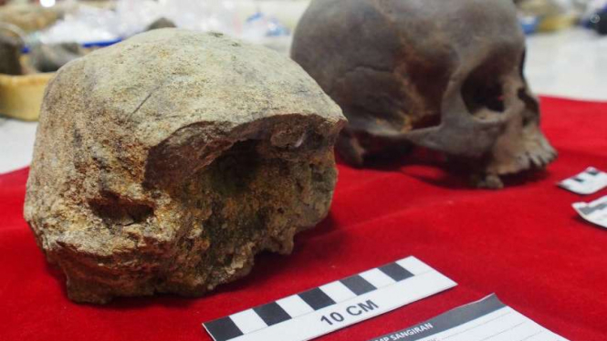 Pecahan fosil Homo Erectus Arkaik di Sangiran, Jawa Tengah