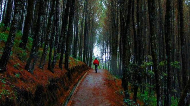 Bukit Moko, Tempat Wisata di Bandung yang Asri dan Instagramable